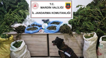 Manav dükkanında uyuşturucu satan şüpheli tutuklandı