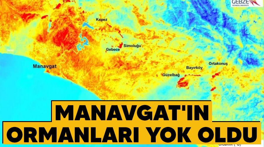 Manavgat'ın ormanları yok oldu