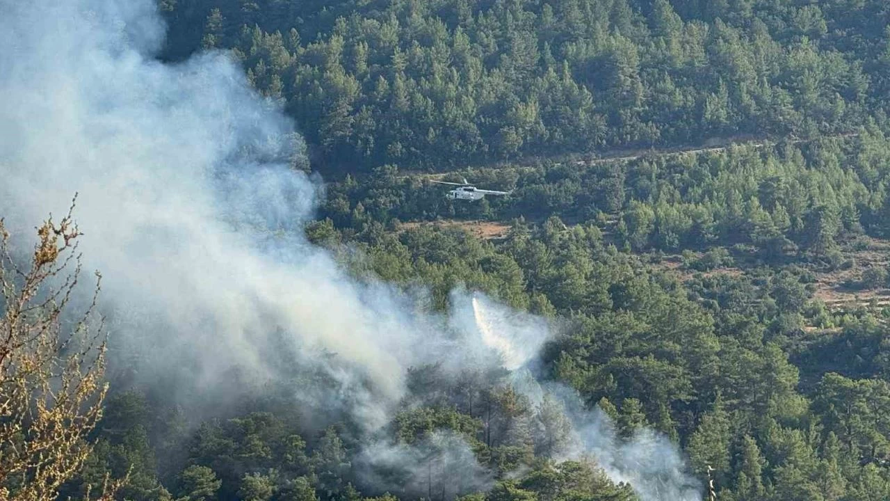 Manavgat'ta ormanl�k alanda yang�n