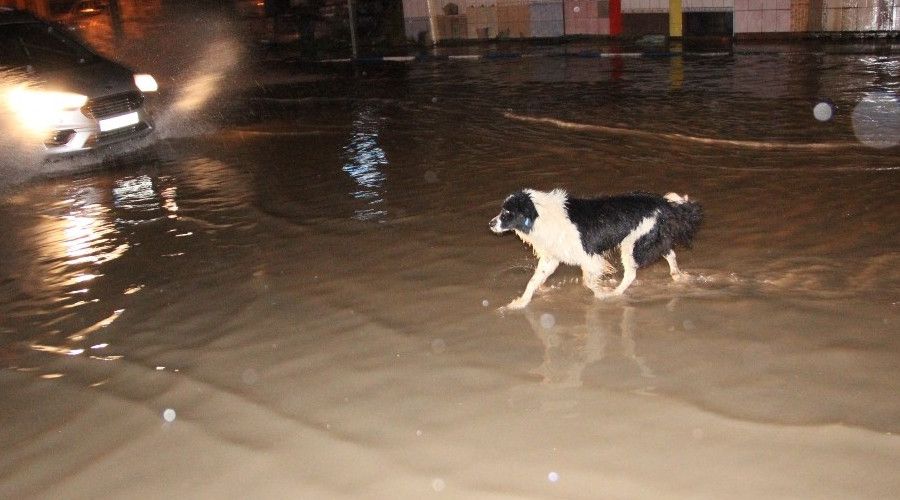 Manisa'da sa�anak ya��� cadde ve sokaklar� g�le �evirdi