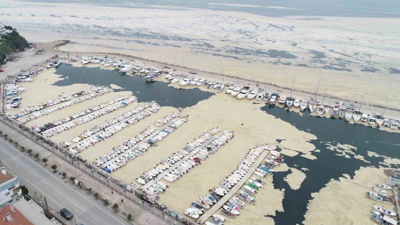 Marmara'n�n k���k bal�k��lar�na "m�silaj" deste�i geliyor