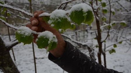Mart ayı bildiğimiz gibi
