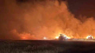Mazıdağı'nda dün gece çıkan yangında ekili araziler zarar gördü