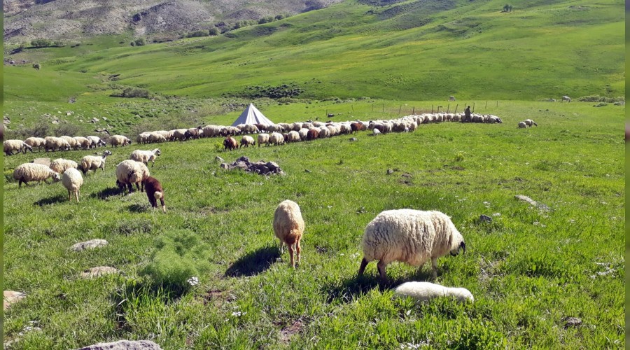 Mera alanları artırılmalı