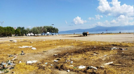 Mudanya'da karasineğin sebebi belli oldu