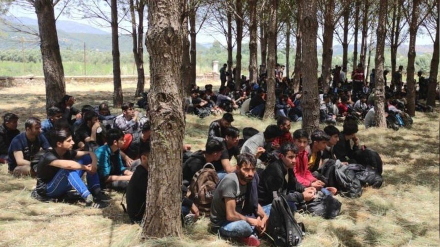 Mula'da 237 dzensiz gmen yakaland