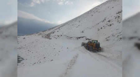 Muradiye’de yola düşen çığ temizlendi