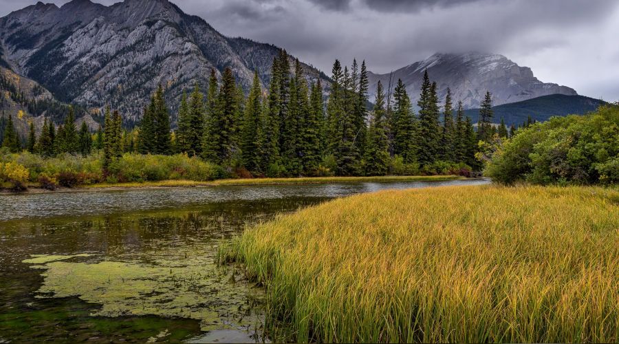 �Mutlu insana ilim ilham edilir�