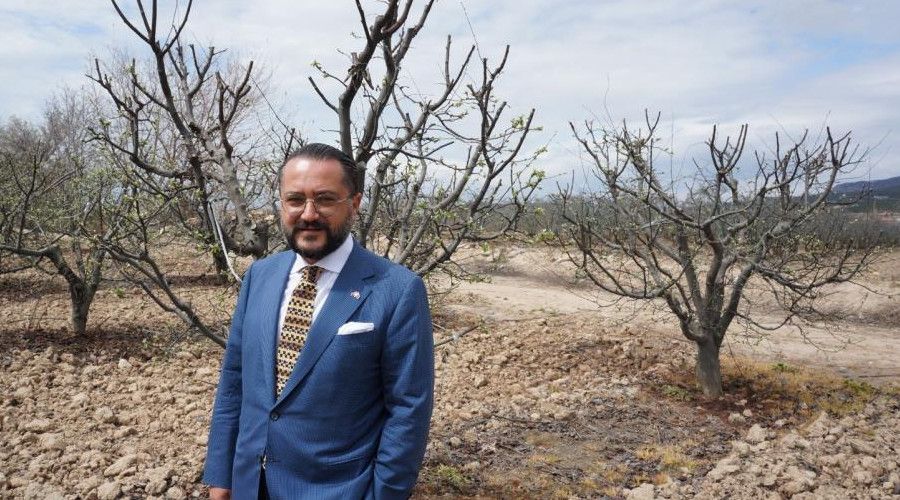 Nar ve ayva üreticisi tarlada eğitimli ara eleman istiyor