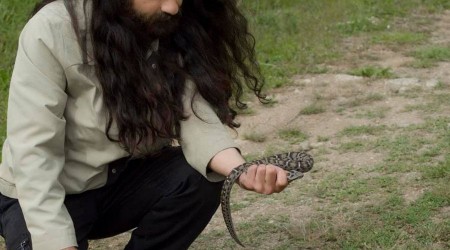 Nesli tükenme altında, Sivas'ta görüldü