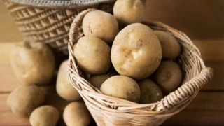 Niğde Milletvekili Gürer, "Patatesin kilosu depoda 4 lira. Markette ise 20 liranın aşağısında patates bulamıyorsunuz. Üretici bu işten kazanmıyor” dedi