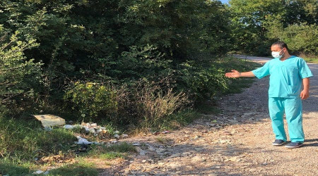 O şekilde bırakılan köpek mamaları sağlığı tehdit ediyor