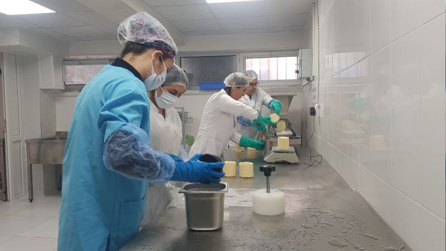 Okulda tereyağı üretmeye başladılar