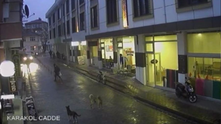 Okuldan d�nen �ocu�a sokak k�pekleri b�yle sald�rd�