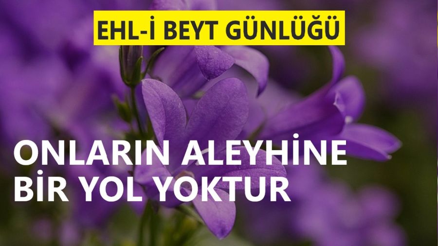 �Onlar�n aleyhine bir yol yoktur�