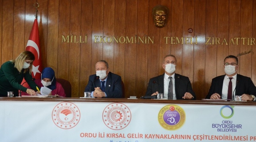 Ordu'da örtü altı üretim yaygınlaşıyor