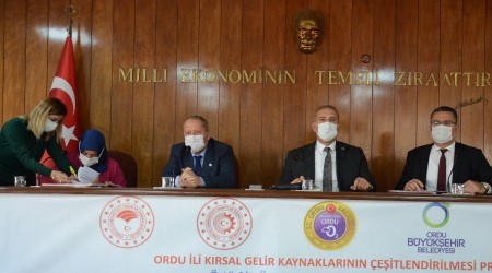 Ordu'da örtü altı üretim yaygınlaşıyor
