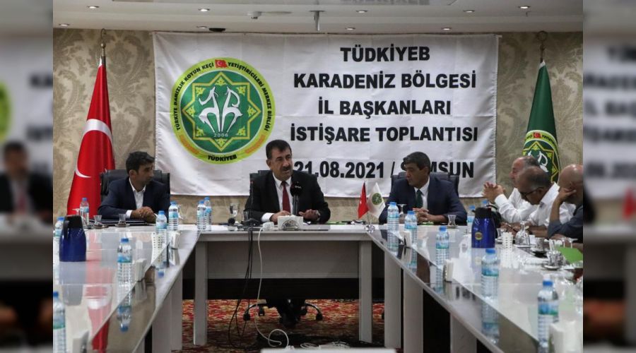 'Ormanlarımız koyun ve keçiye açılmalı'