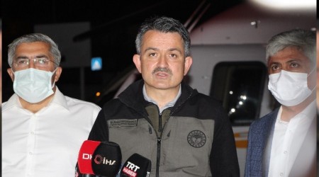Pakdemirli: 'Hatay yangn kontrol altna alnd'