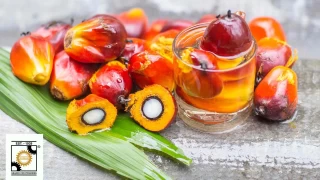 Palm yağı faydalı mı zararlı mı?