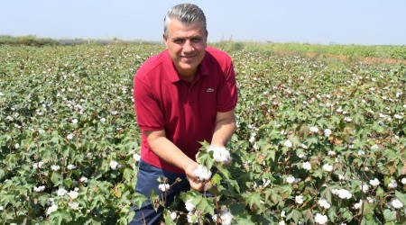 Pamuk ithalatı roketledi