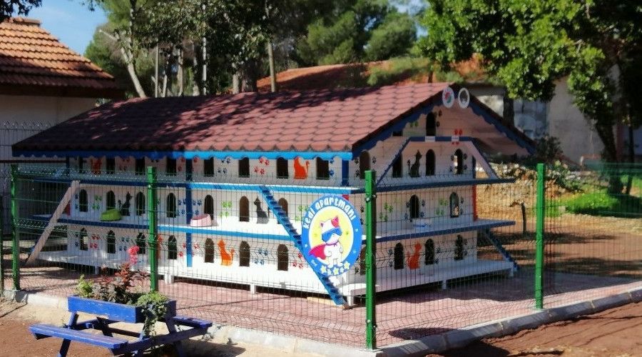 Patikent a��l��a haz�rlan�yor