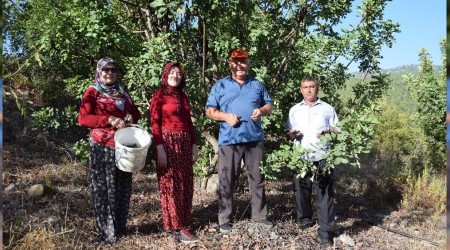 Pekmezinin kilosunu 60 TL'den satıyor