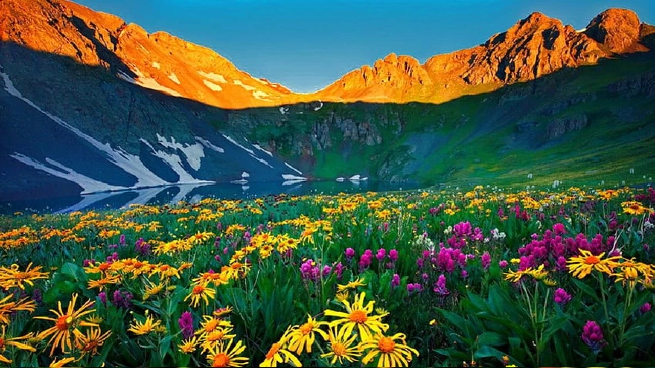  Peygamberimizin uyumak i�in yatt���nda etti�i dualardan