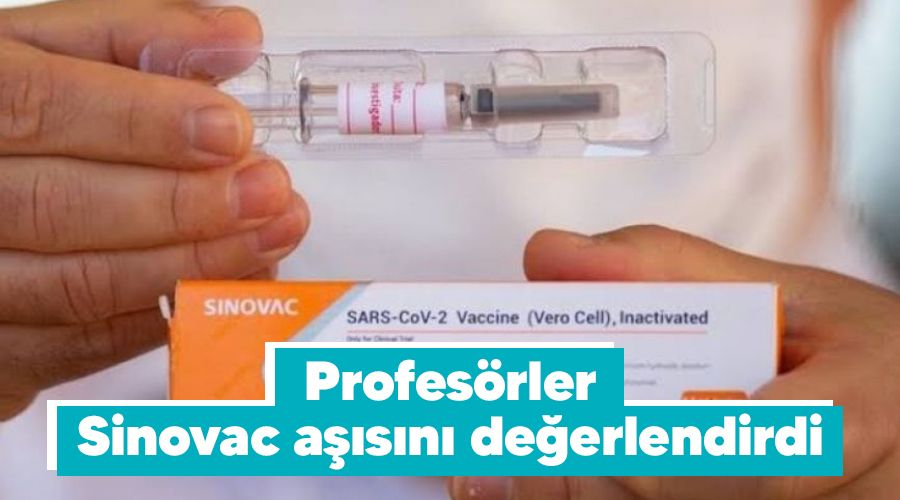 Profesörler Sinovac aşısını değerlendirdi