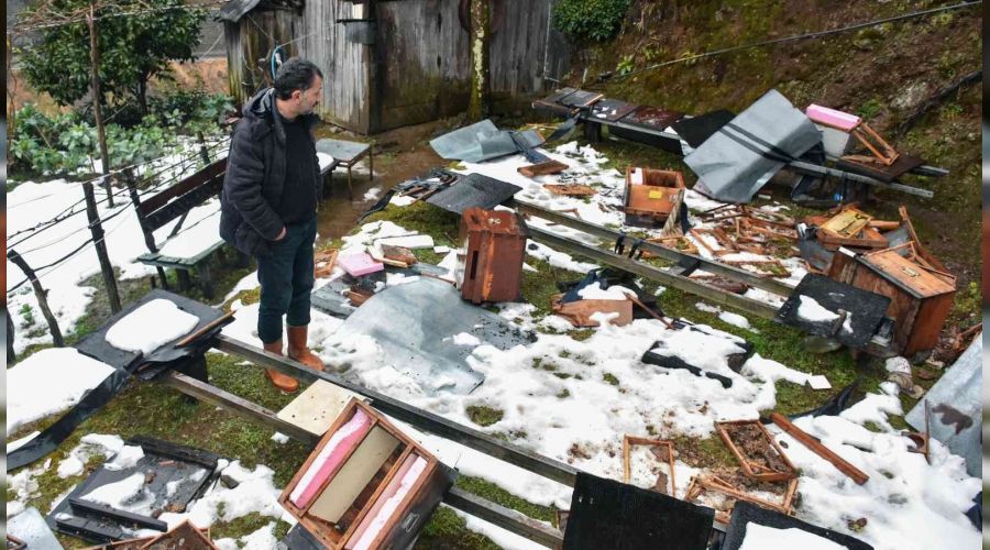 Rize'de a� kalan ay�lar k�ye indi