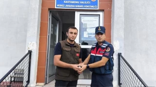 Sağlıklarına kavuşan yaban hayvanları yeniden doğaya salındı