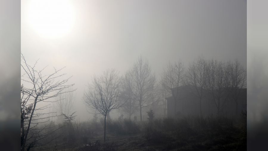 Sakarya'da sis