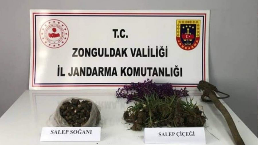 Salep so�an� toplayanlara 2 milyon lira ceza