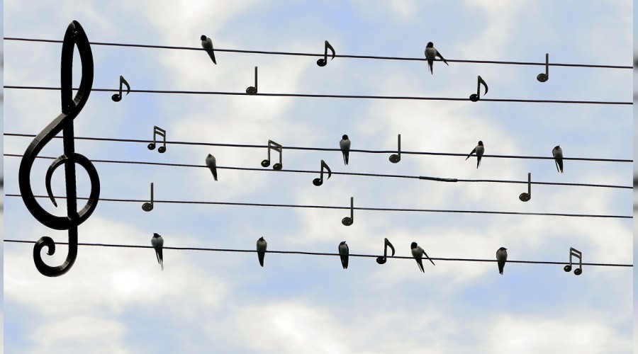 Sanatta veliaht olamaz, krallıklarda olur