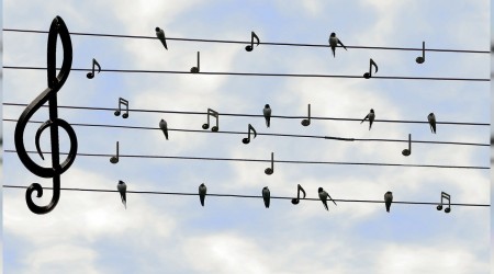 Sanatta veliaht olamaz, krallıklarda olur