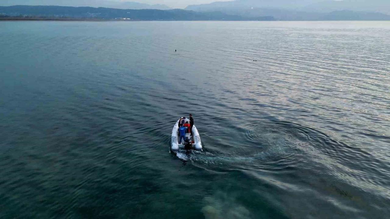 Sapanca Gl'ndeki kabarcklarn sebebi belli oldu