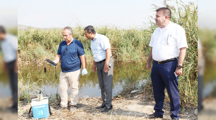 Selçuk'taki balık ölümlerinin nedeni araştırılacak