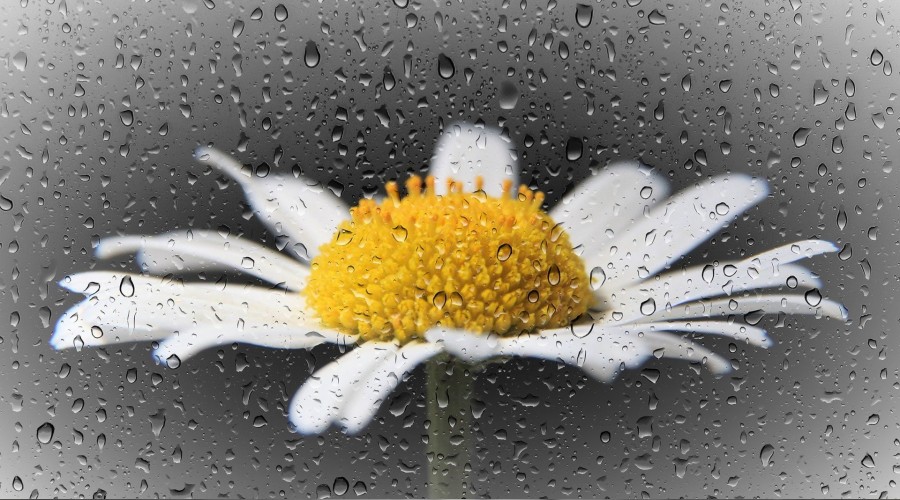 �Sende orucun vakar� olmal��