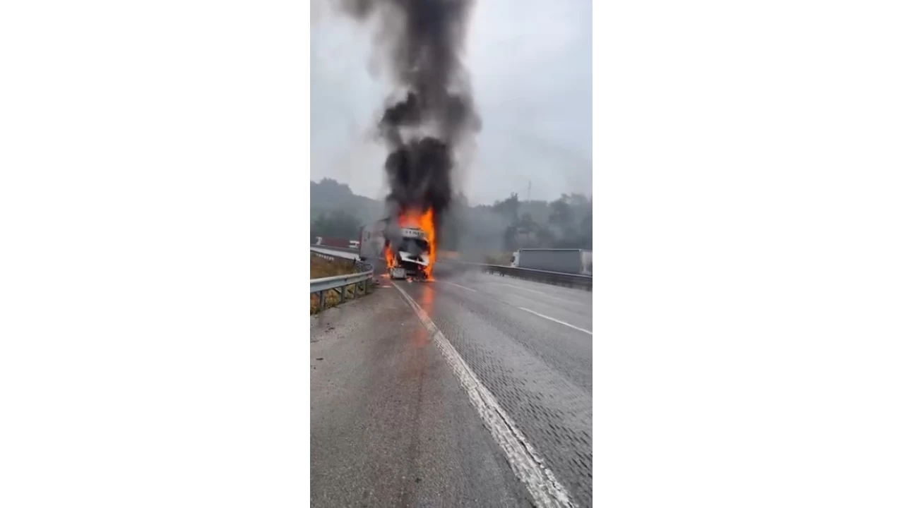 Seyir halindeki tır alev alev yandı