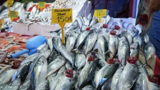 Sezonun ilk günü denizden palamut çıktı: Tanesi 150 TL