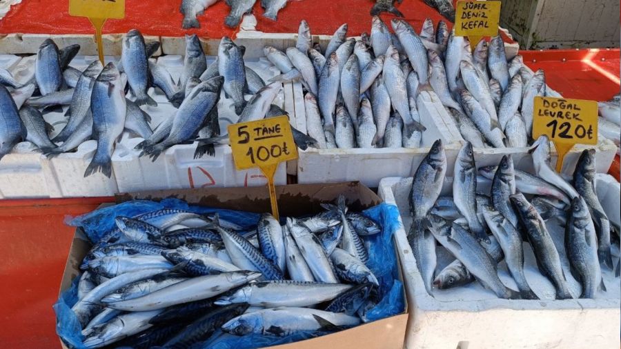 Sıcak havada balığa rağbet yok