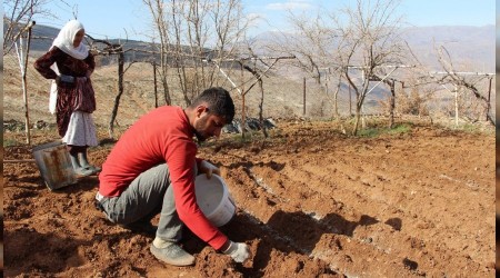 Siirt'te iftinin 'soan' mesaisi balad