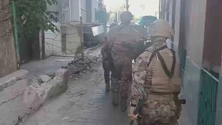 Silah kaçakçılarına 280 personel ile operasyon: 28 gözaltı
