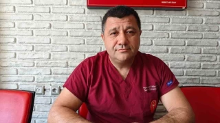 Sineklerle mcadele ynteminizi deitirin