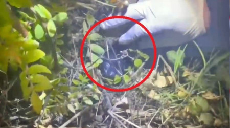 Sinop'ta çalılıkta saklanmış metamfetamin ele geçirildi