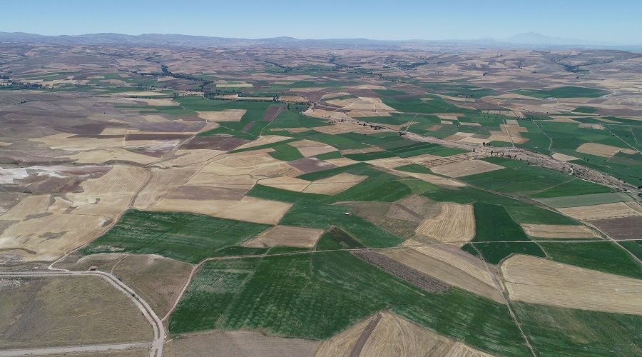 Sivas Altınyayla'da ‘Toplulaştırma Projesi’ hayata geçiriliyor