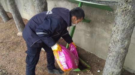 Sokak hayvanları için yem noktaları