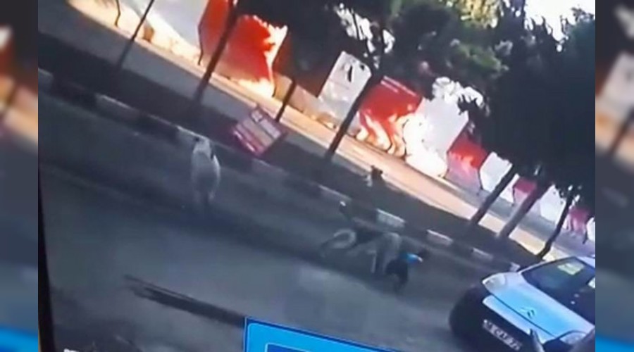 Sokak köpekleri çocuğa saldırdı 