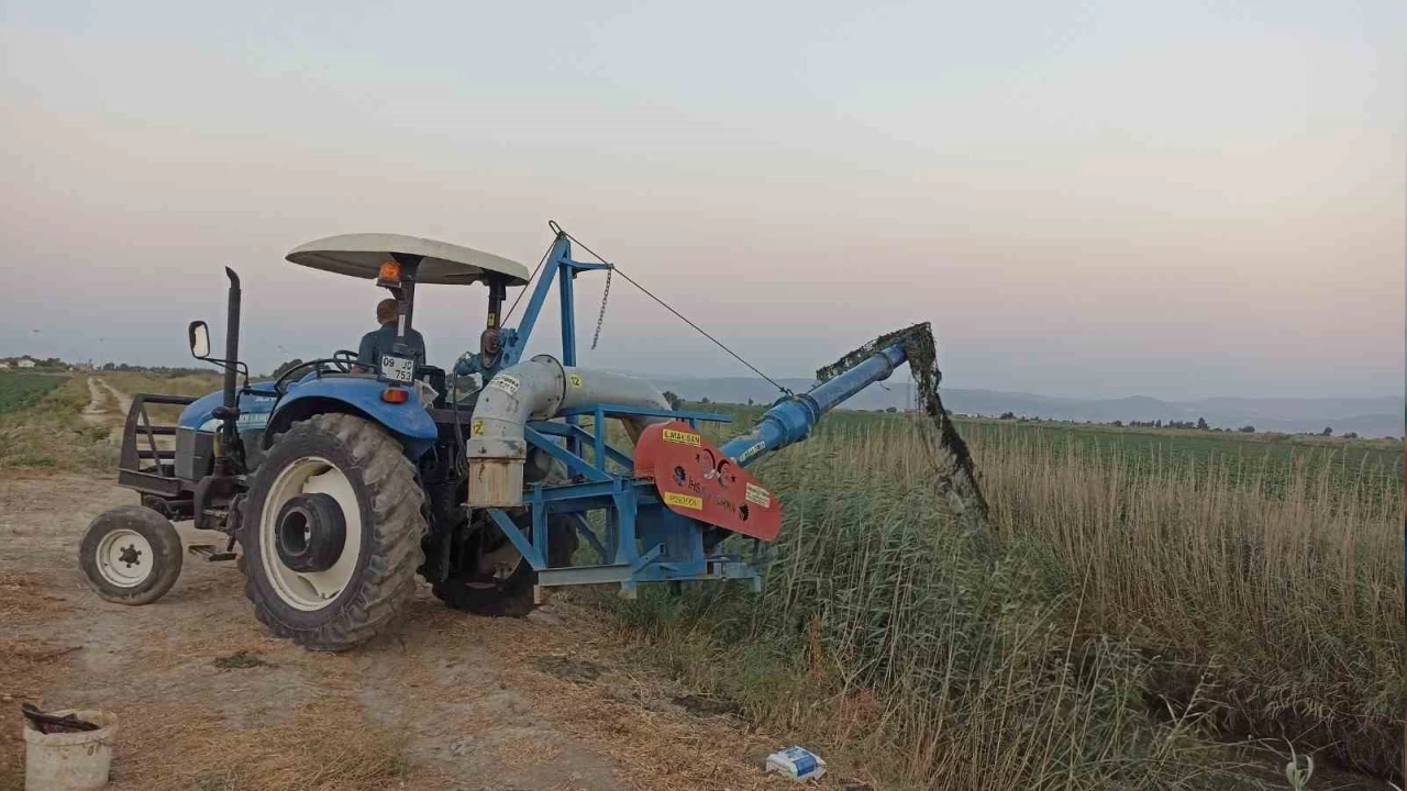 Söke Ovası'nda susuzluk had safhada