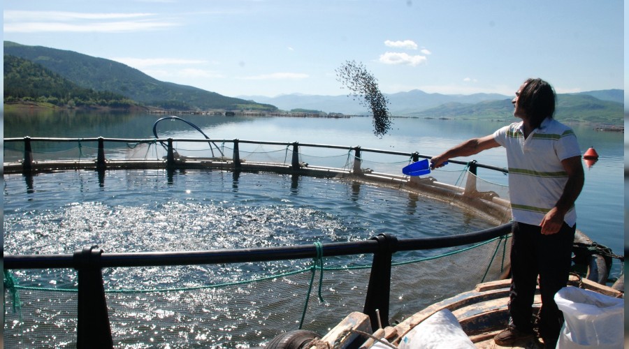 Somon ihracat� durdu